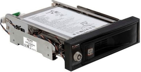 DeLock rack mobile SATA (47199)
