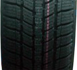 Rotalla S100 195/60 R15 88T