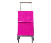 Relaxdays Einkaufstrolley, klappbar, 25 L Einkaufstasche mit Rollen, bis 10  kg belastbar, HBT: 91 x 40