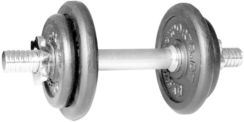 ScSPORTS Kit de disques d'haltère en fonte 10 kg
