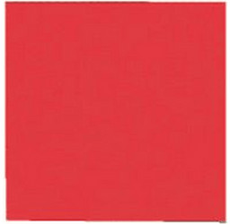 Franken Magnetic Symbol Square 20x20mm (28 St.)