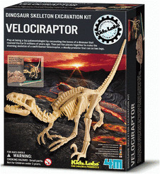 Archéo-ludic - Excavation de squelette - Vélociraptor