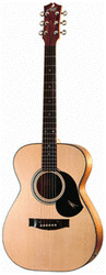 Maton EBG 808