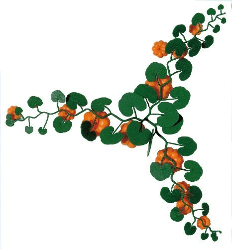 Busch Model Champ de citrouilles (1201)