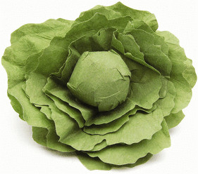 Erzi Salade (12280)