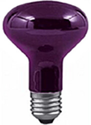 Paulmann Réflecteur E27 R80 75w Lumière noire