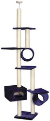 Nobby Millenium IV