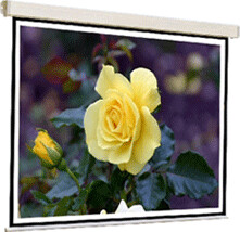 Reflecta CrystalLine Motor 200x159