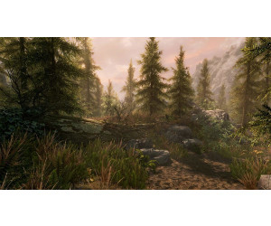 Skyrim ps3 top for sale