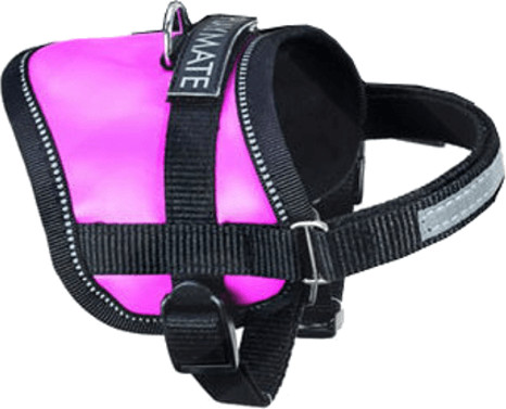 Karlie Harnais Teeny Weeny taille S (26-35 cm/15 mm)