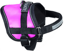 Karlie Harnais Teeny Weeny taille L (36-46 cm/15 mm)