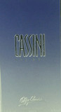 Oleg Cassini for Men Eau de Toilette (100 ml)