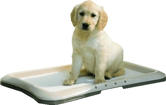Savic Toilettes pour chiot Puppy Trainer 60 x 48 cm