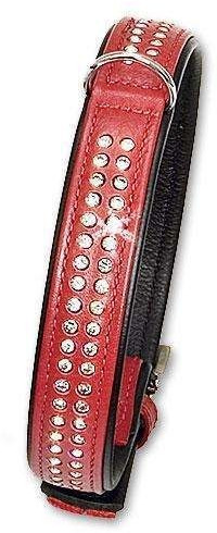Karlie Collier pour chien 35 cm x 17 mm