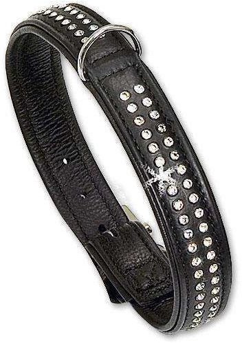 Karlie Collier pour chien 35 cm x 17 mm