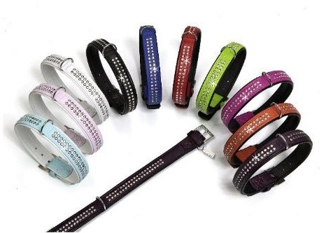 Karlie Collier pour chien 30 cm x 17 mm Karlie Collier pour chien 30 cm x 17 mm