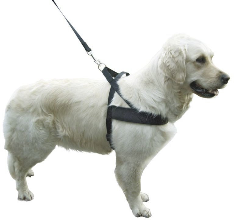 Kerbl Harnais pour chien 83940 Kerbl Harnais pour chien 83940