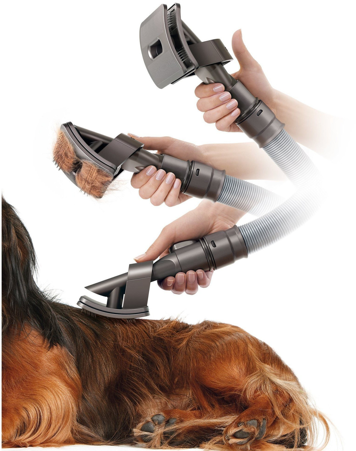 Vhbw spazzola per cani sostituisce Dyson 921000-01 per aspirapolvere -  Auto-pulente, grigio antracite