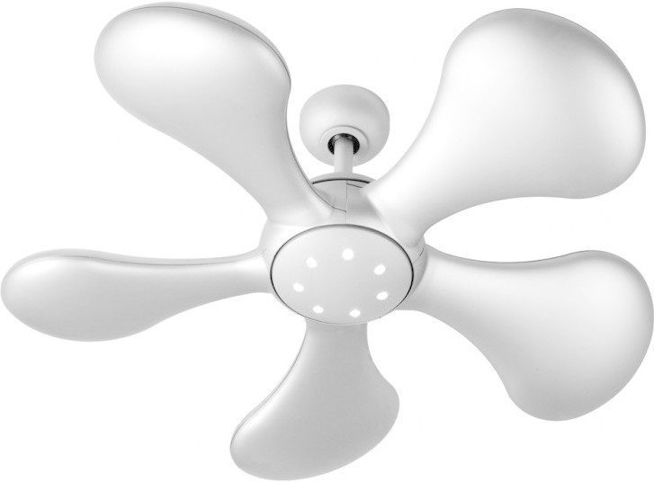 Fantasia Ceiling Fans Splash