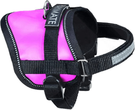 Karlie Harnais Teeny Weeny taille XS (31-40 cm/15 mm)