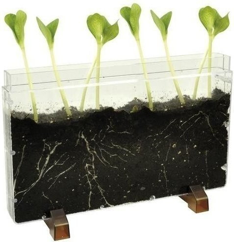 Eduplay Kit de germination ou observation du sol