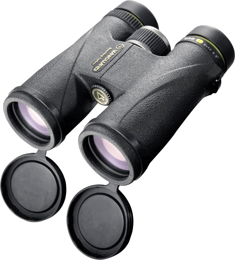 Vanguard Spirit ED 8x42