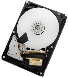 HGST Ultrastar 7K3000 SAS 2To