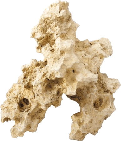EBI Pierre décorative Combo-Sea (30 x 24,5 x 31 cm)