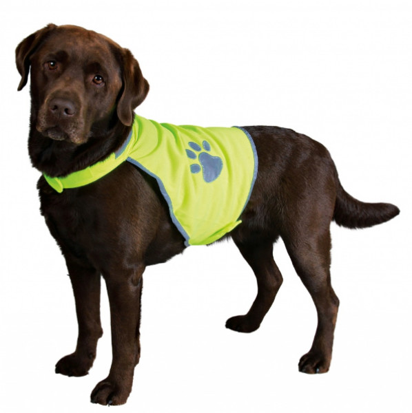 Jollypaw Gilet de sécurité pour chien XL Jollypaw Gilet de sécurité pour chien XL