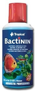 Tropical Bactinin