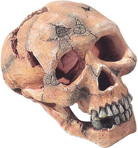 EBI Ape L 15cm (236-104309)