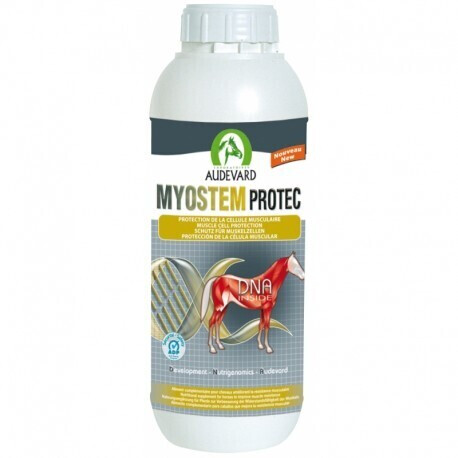 Audevard Myostem Protect