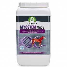 Audevard Myostem Mass 2.1 kg