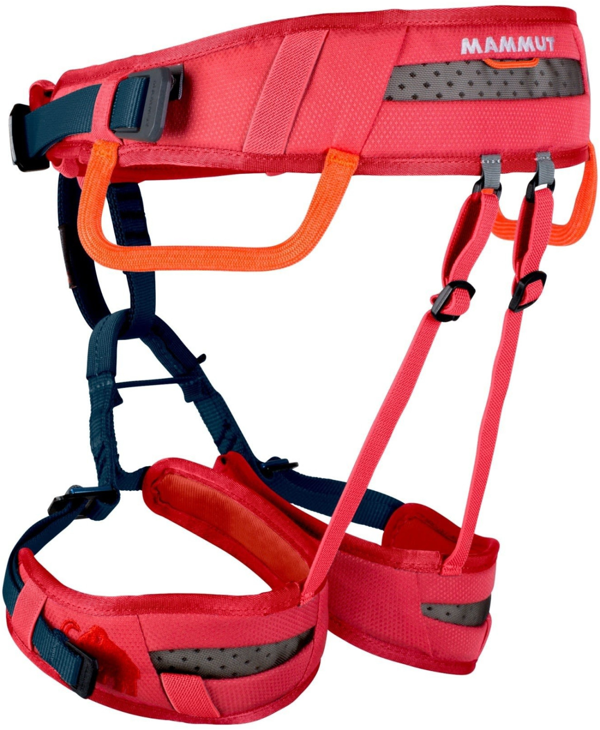 Mammut Baudrier Ophir enfants
