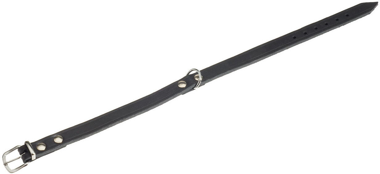 Karlie Rondo dog collar L (20 mm / 57 cm)