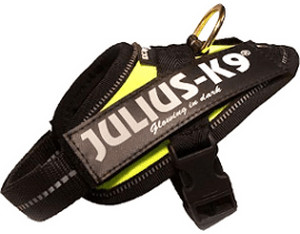 Photos - Collar / Harnesses Julius-K9 Julius K-9 Julius K-9 Powerharness Baby Size 1 28-35cm 