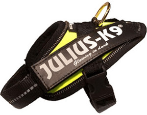 Julius K-9 Harnais Power Baby 1 28-35 cm
