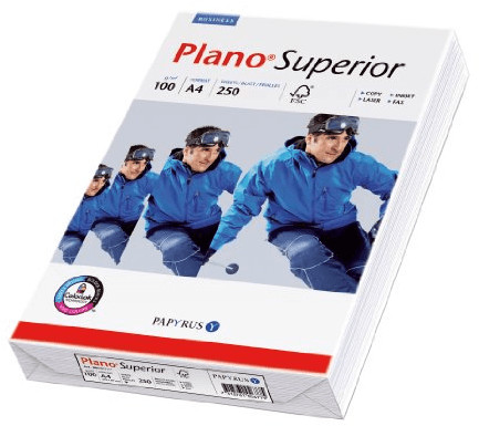 Papyrus Plano Superior (88026782)