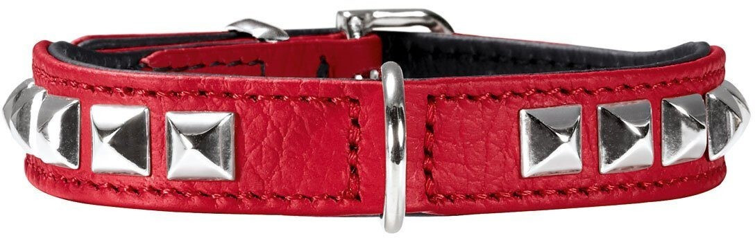Hunter Collier Rocky Petit (30 cm)