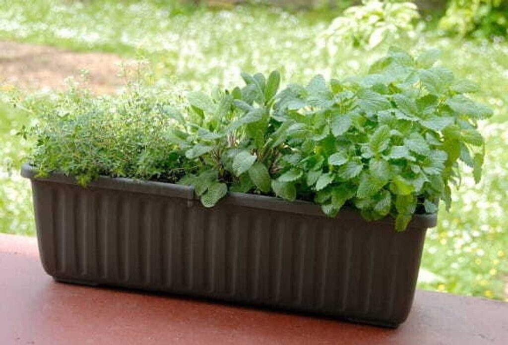 Gardiso Siesta Lux 60x20x19cm