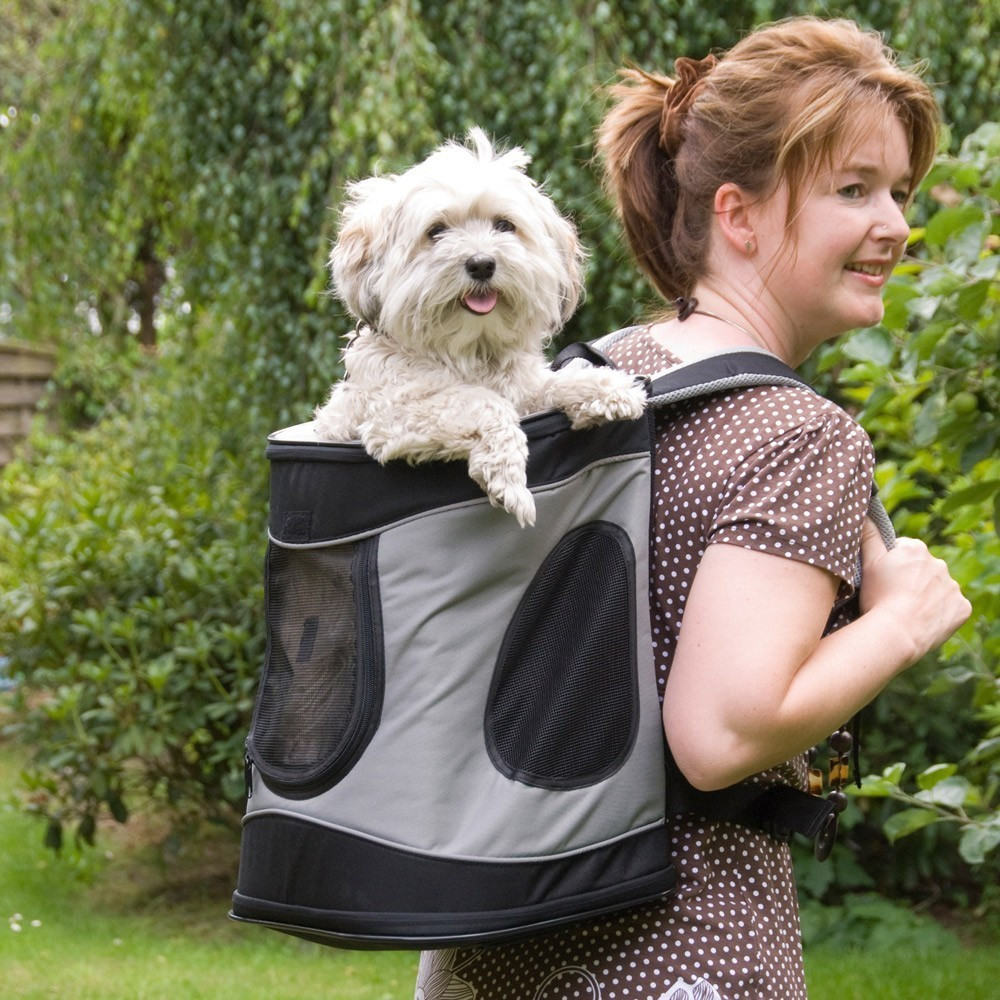 Zaino per cani trixie sale