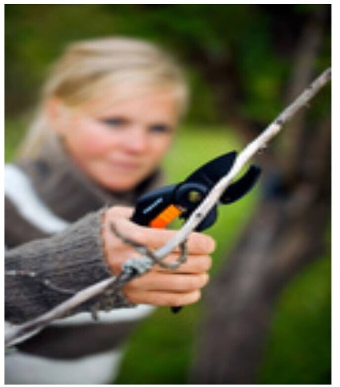 Buy Fiskars Amboss Garden Shears (111250) from £7.49 (Today) Best