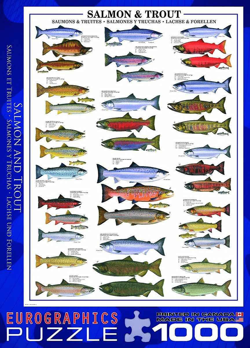 Eurographics Puzzles Saumons et truites (1.000 pièces)