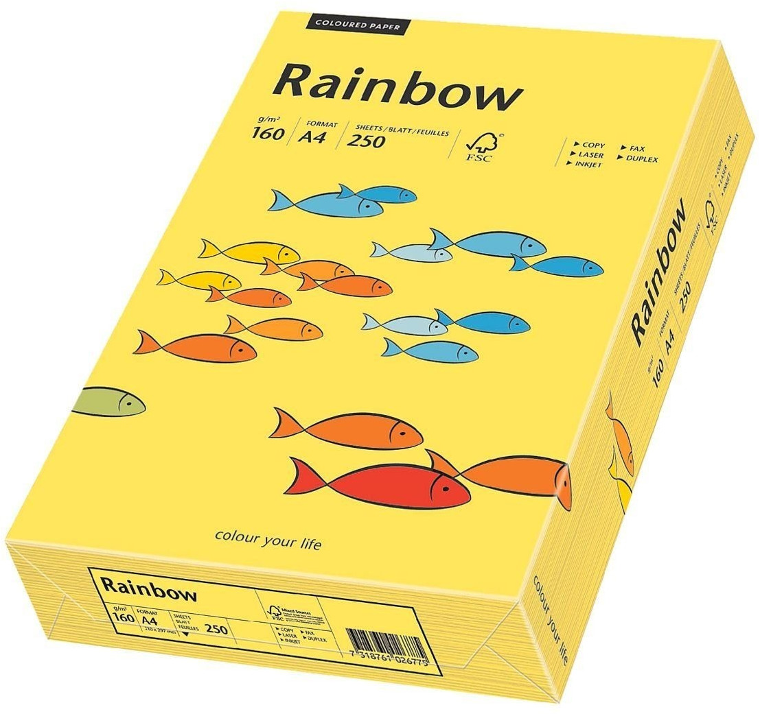 Papyrus Rainbow Intensiv (88042351)