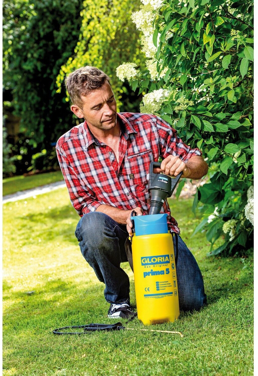Gloria AutoPump ab 44,51 € (Mai 2025 Preise) Preisvergleich bei idealo.de