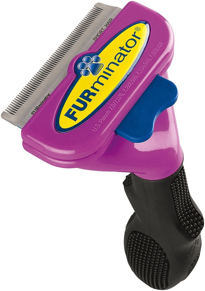 FURminator Brosse pour chats à poils courts L
