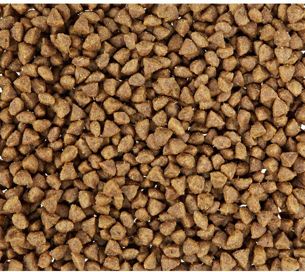 Royal Canin Croquettes pour chat 2kg Royal Canin Croquettes pour chat 2kg