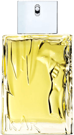 Sisley Cosmetic Eau d'Ikar Eau de Toilette (100 ml)
