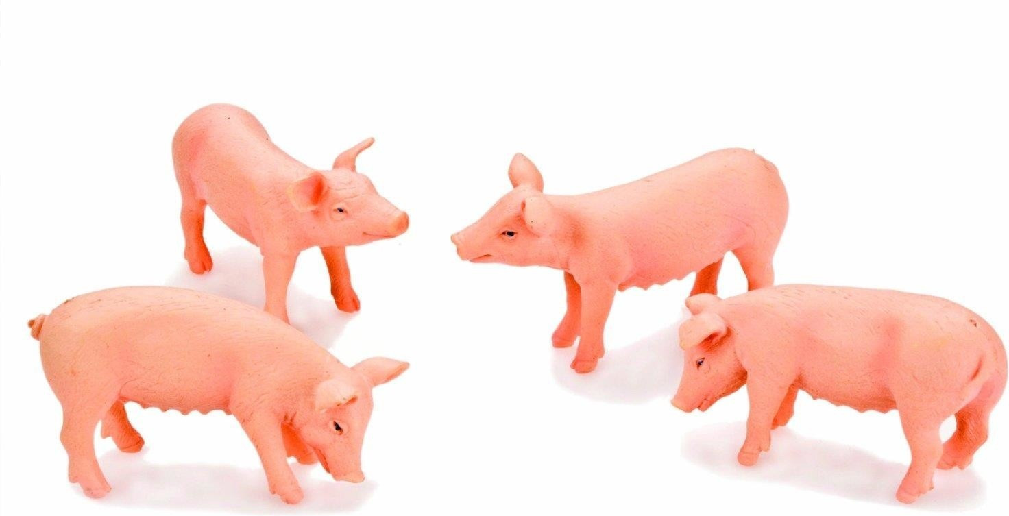 Van Manen Quatre porcs blancs