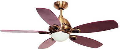 Fantasia Ceiling Fans Phoenix